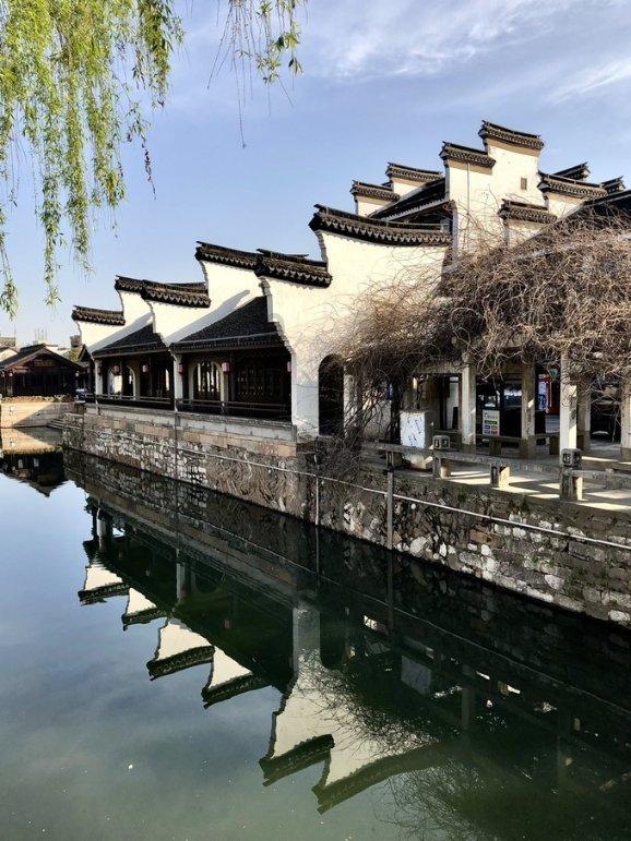 寻找萌小老虎